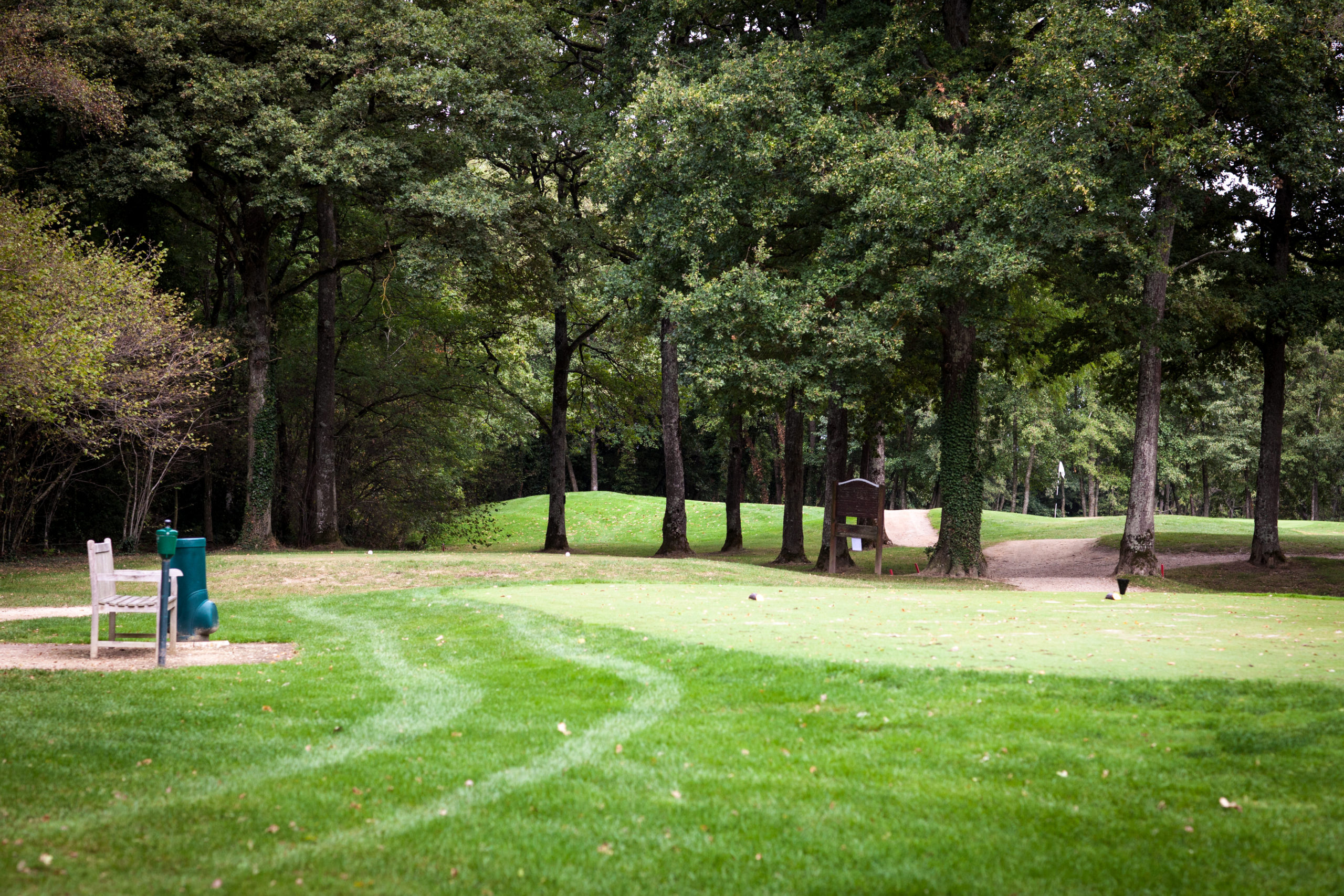 HARMONY WITH   NATURE